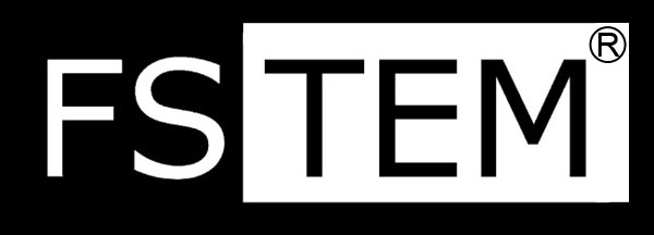 Imagen del logo de FS TEM